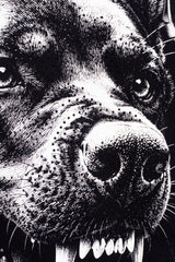CAMISETA ESQUELETO - UNDERDOG