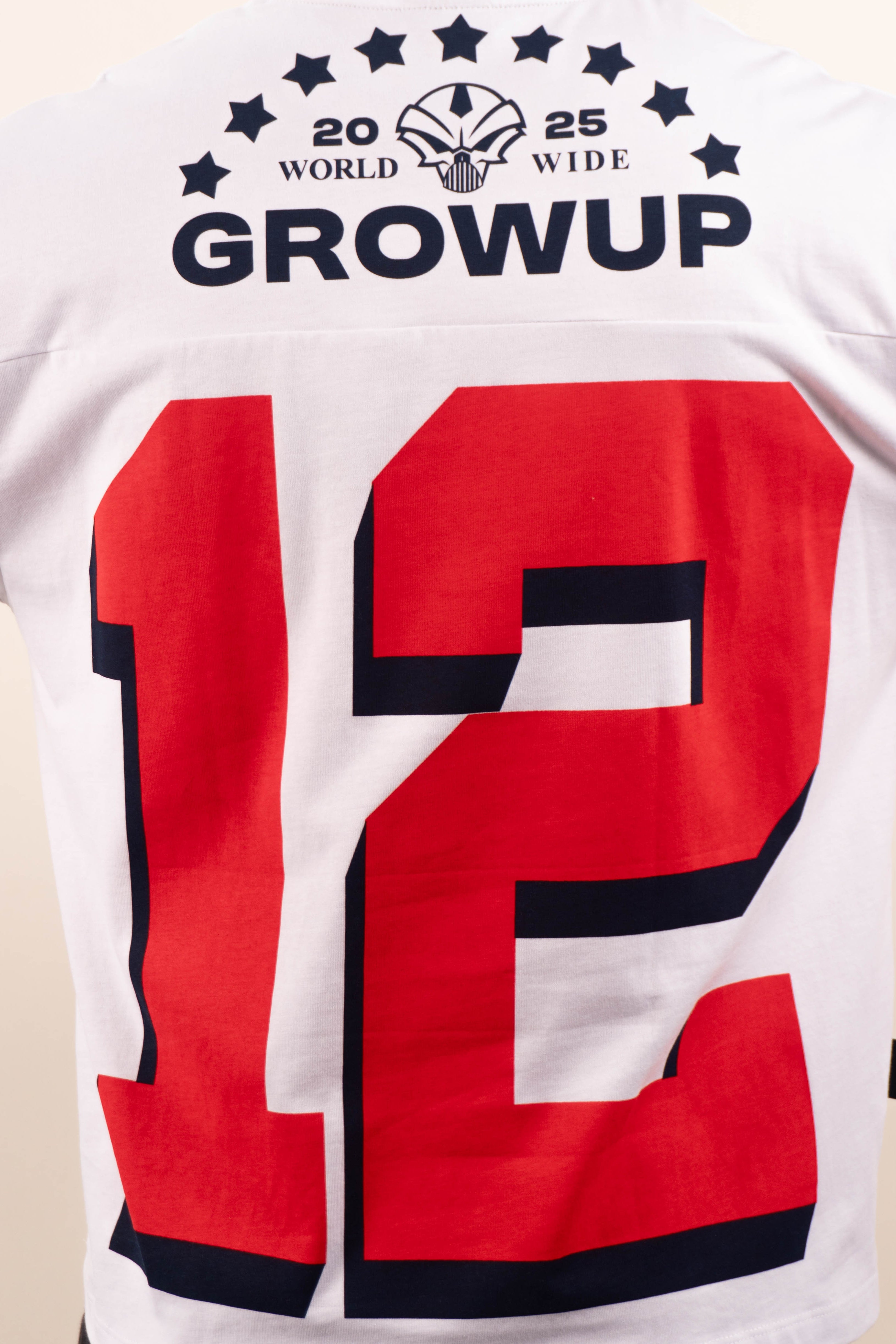 Camiseta BLOQUE MICHIGAN 12