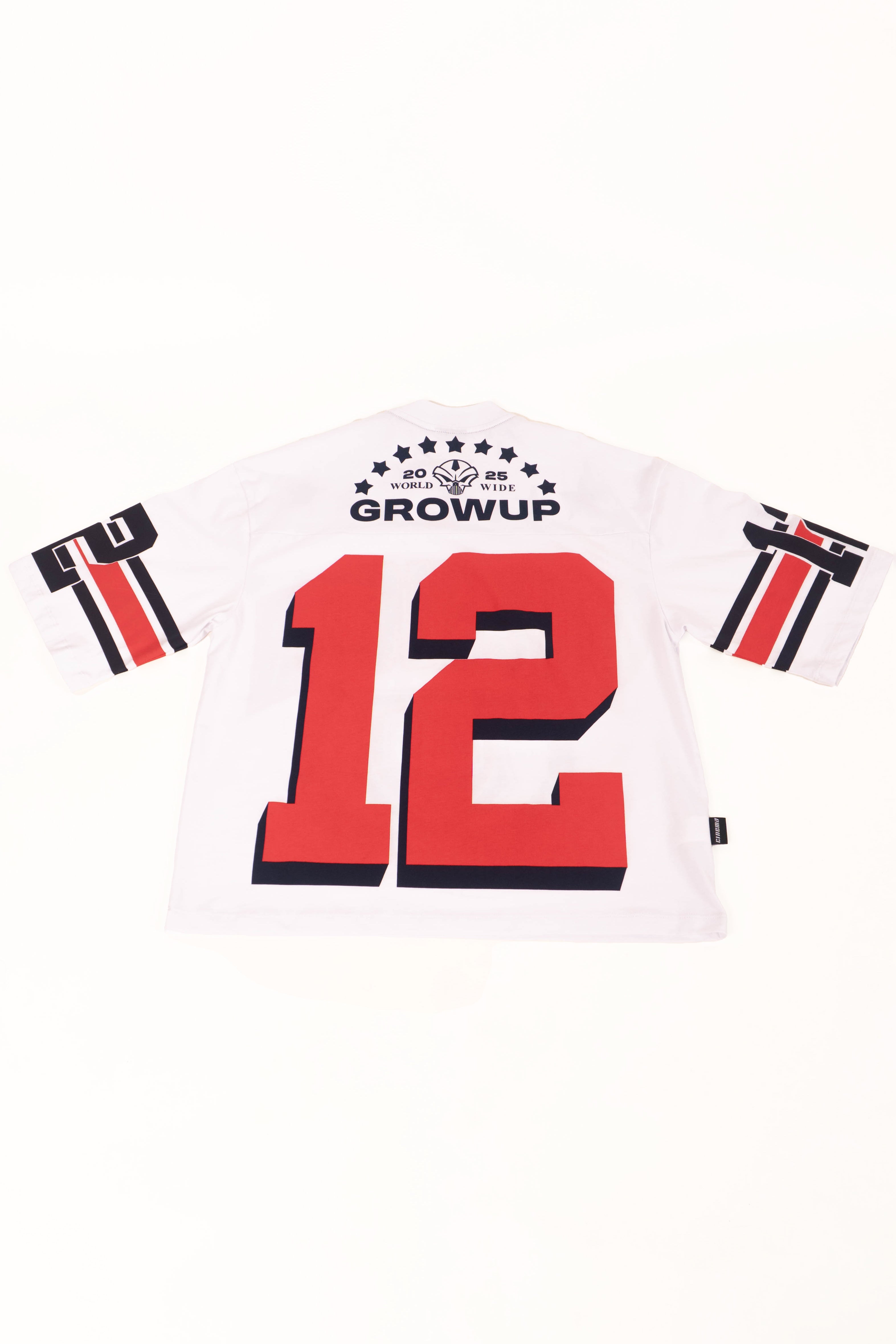 Camiseta BLOQUE MICHIGAN 12