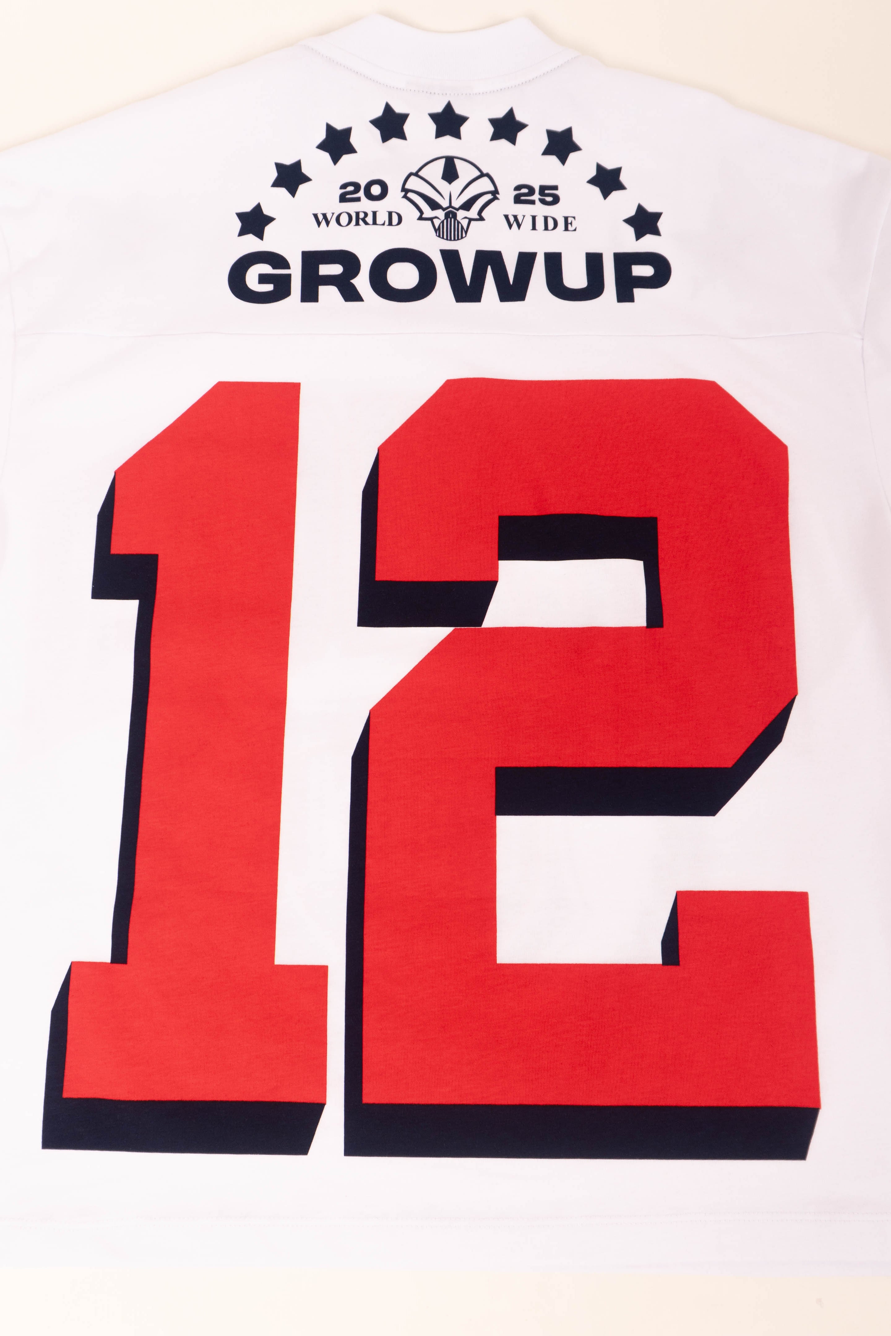 Camiseta BLOQUE MICHIGAN 12