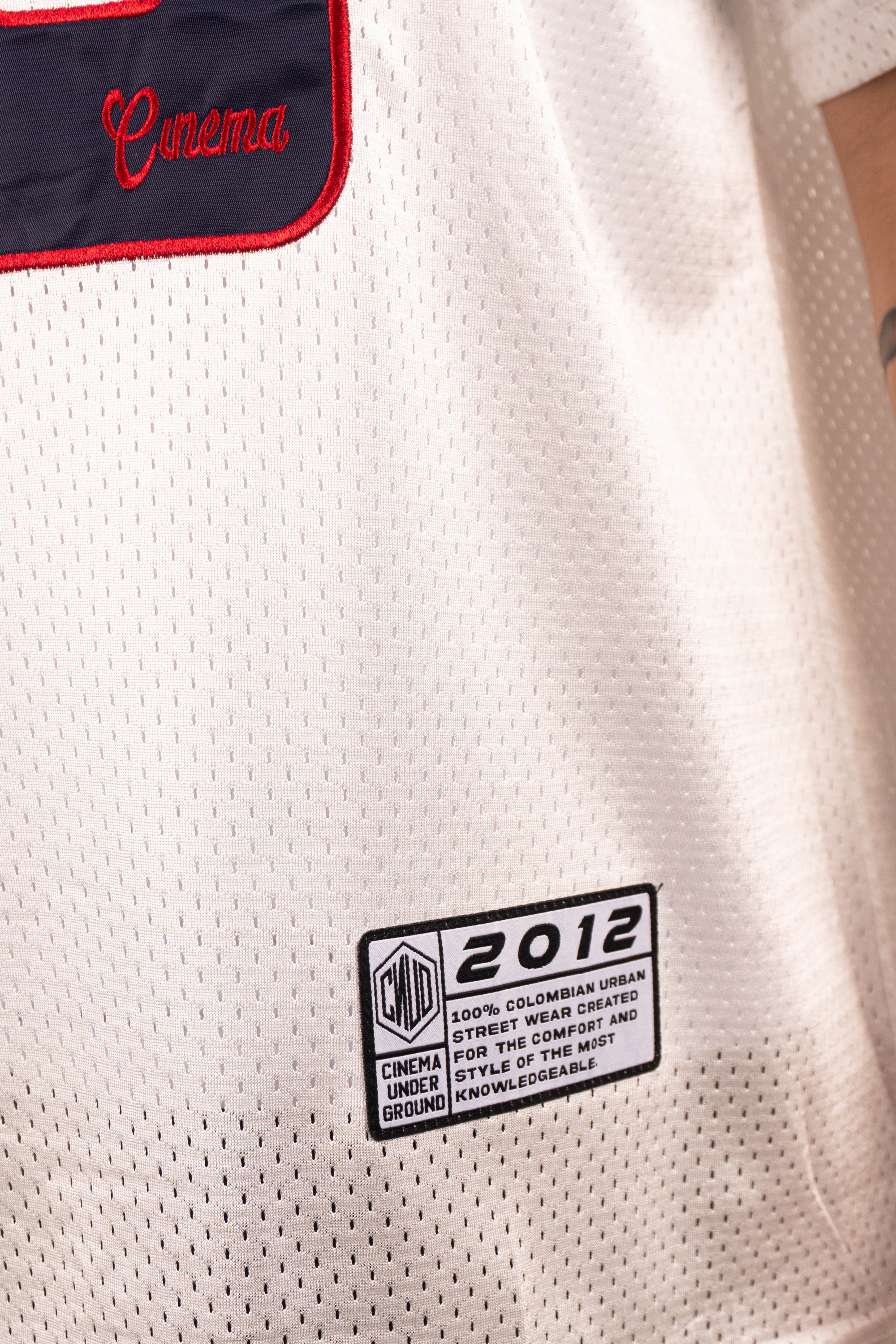 Camiseta PATRIOTS 60