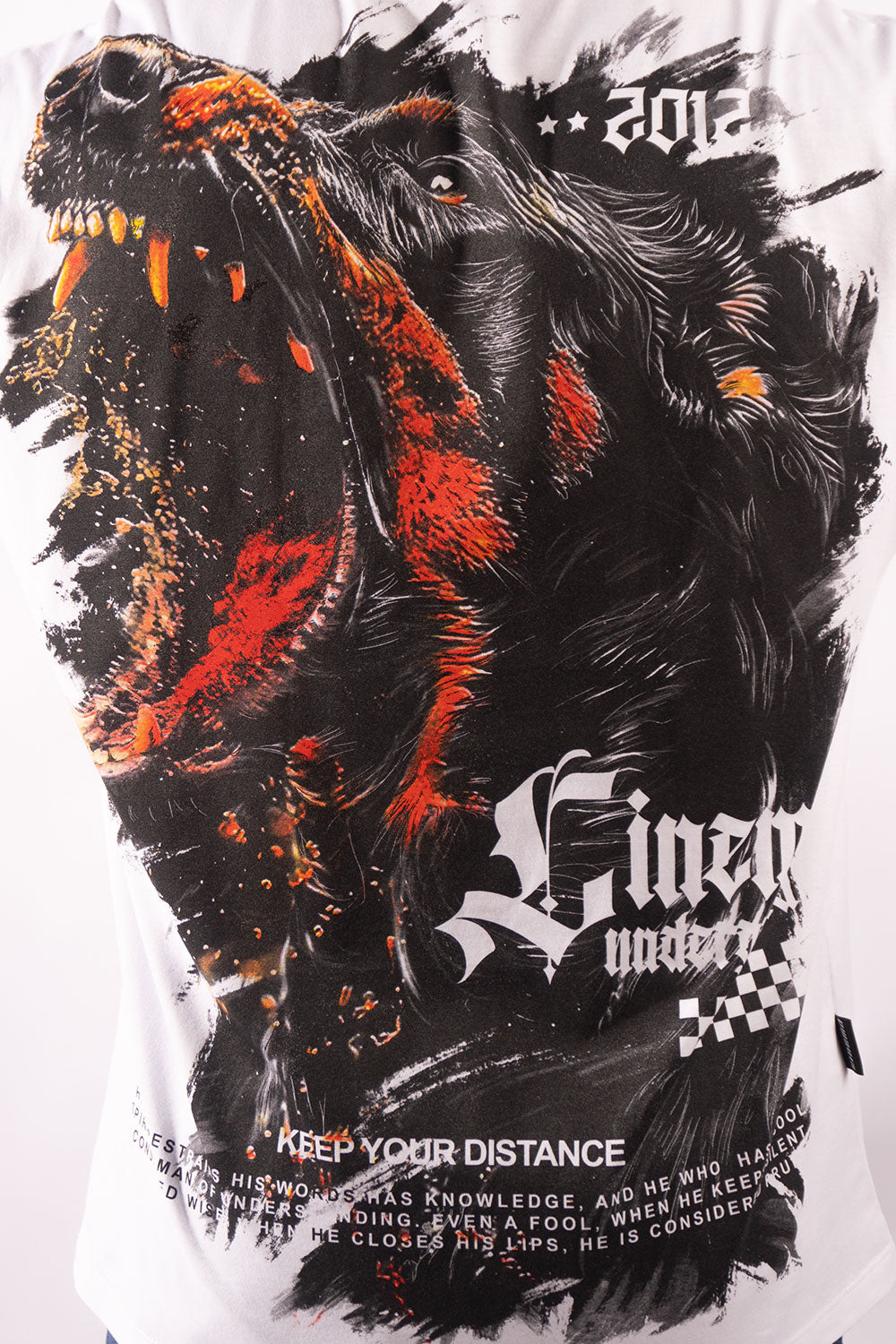Camiseta silver DISTANCE