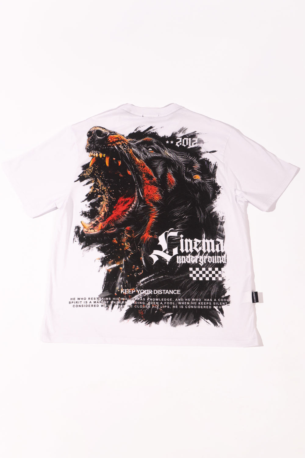 Camiseta silver DISTANCE