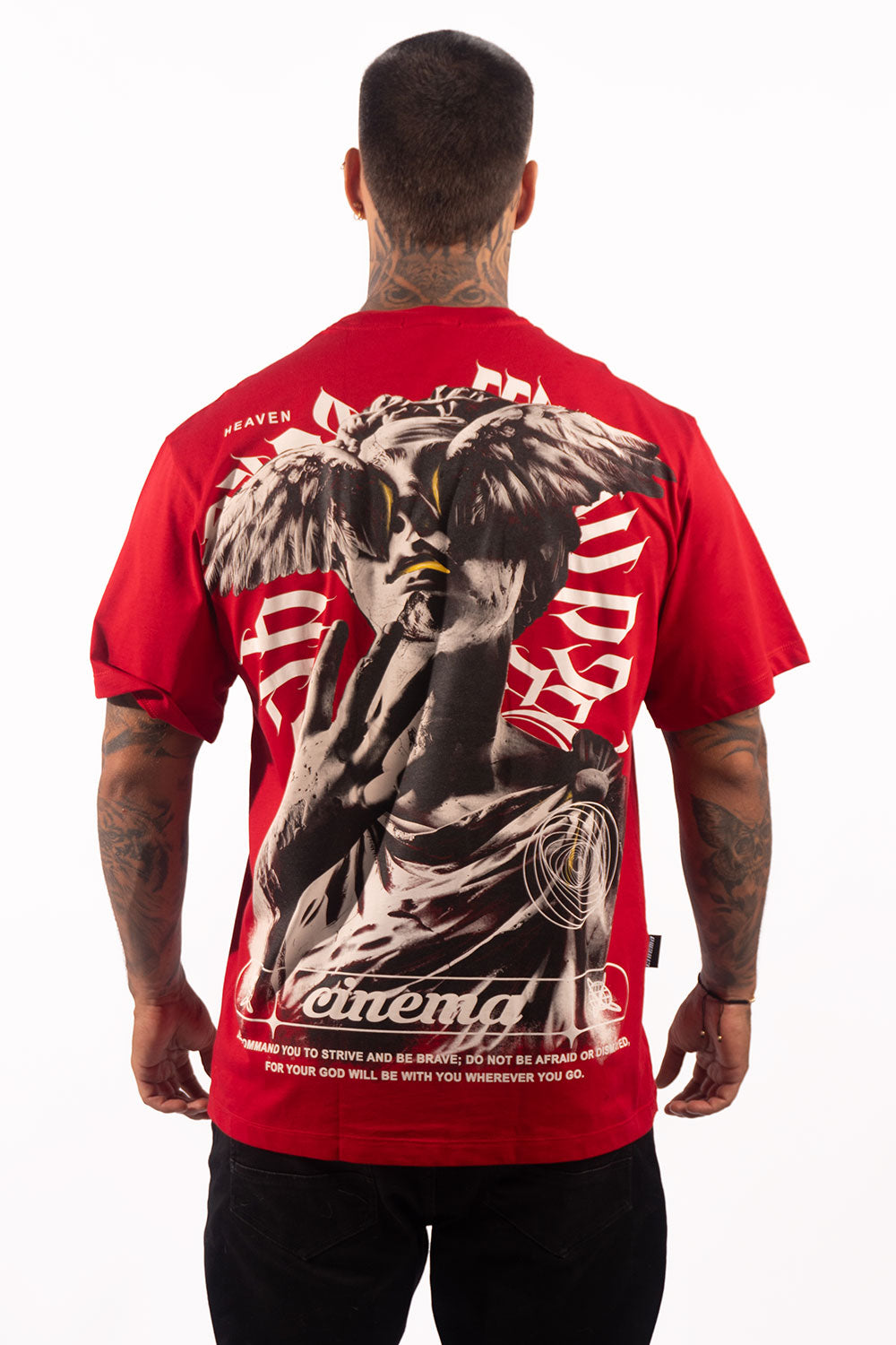 Camiseta silver WINGS FACE