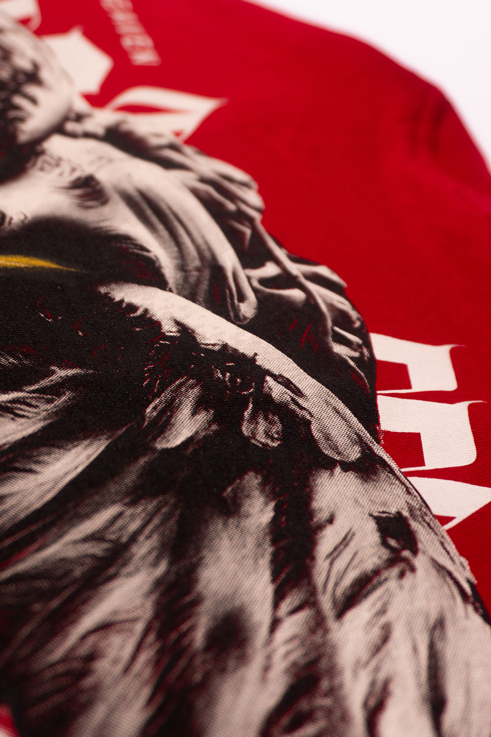 Camiseta silver WINGS FACE