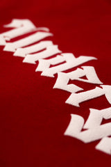 Camiseta silver WINGS FACE