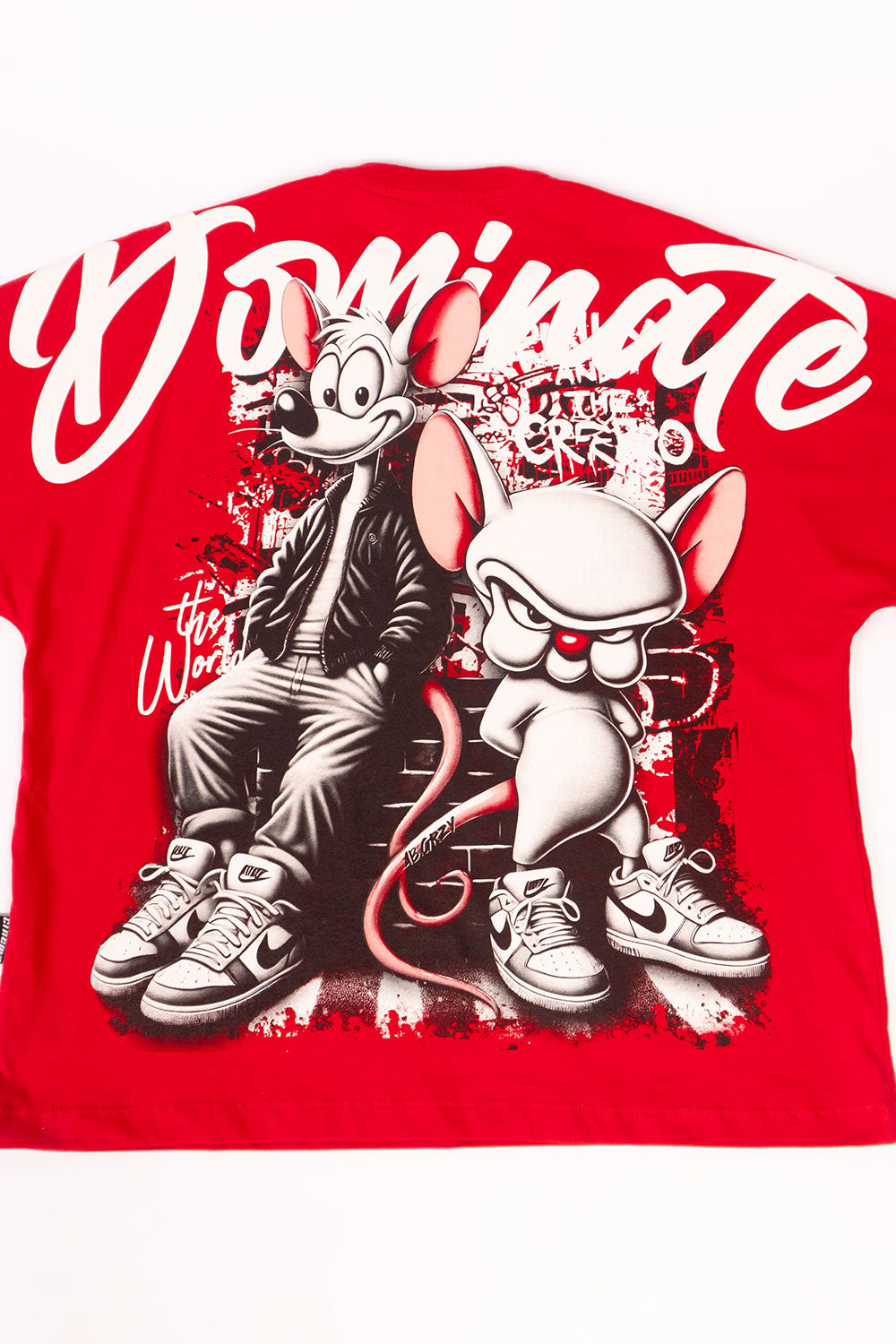 Camiseta BOXY PINKY AND BRAIND