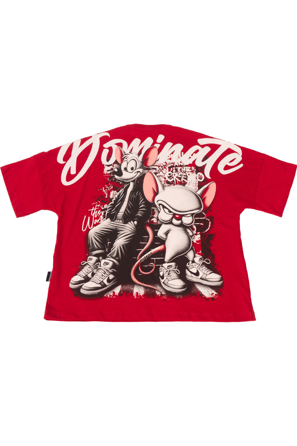Camiseta BOXY PINKY AND BRAIND