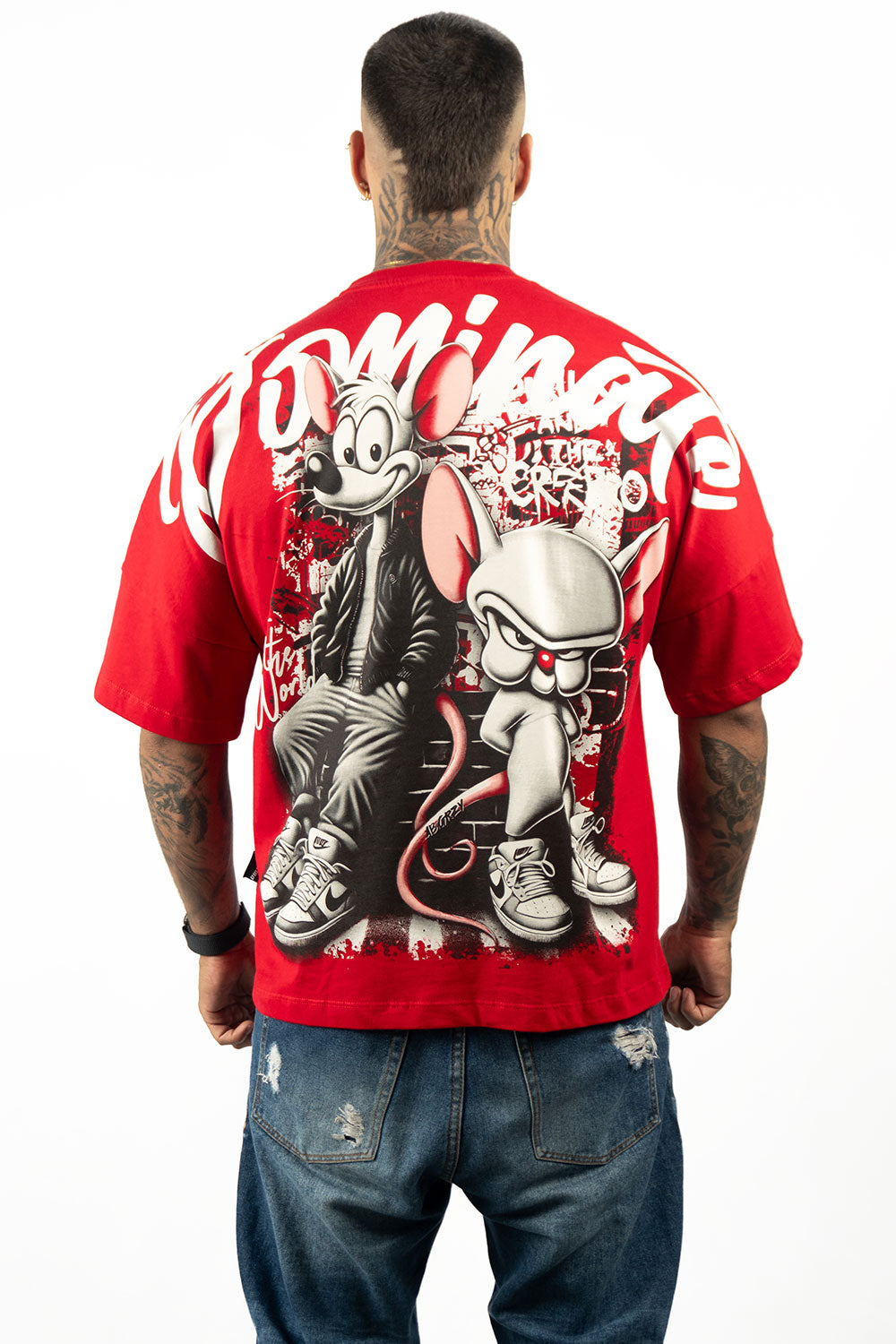 Camiseta BOXY PINKY AND BRAIND