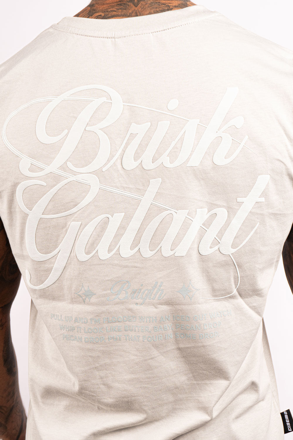 Esqueleto BRISK GALANT