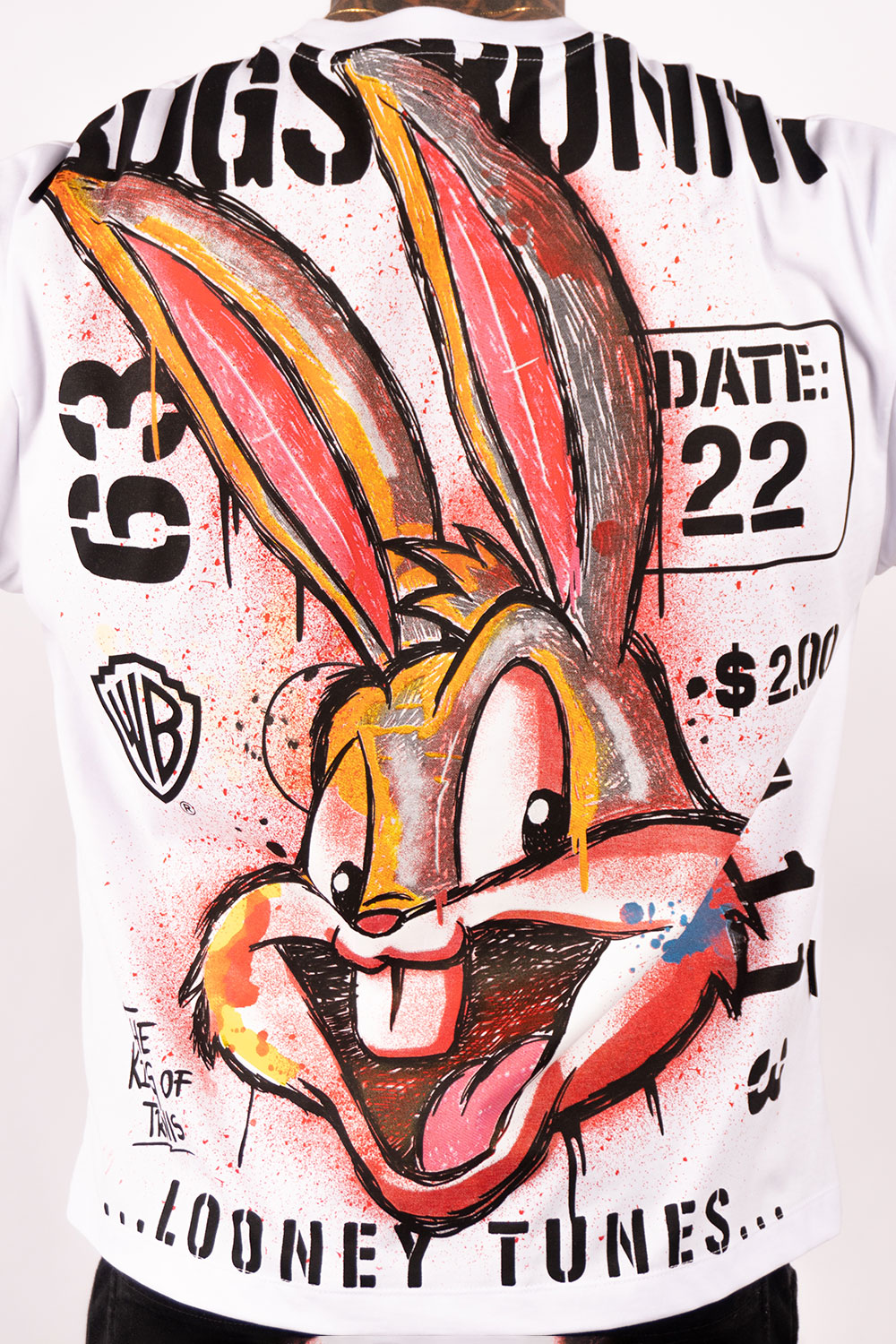 Camiseta BOXY FIT BUGS A113