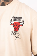 Camiseta OVER JORDAN BULLS