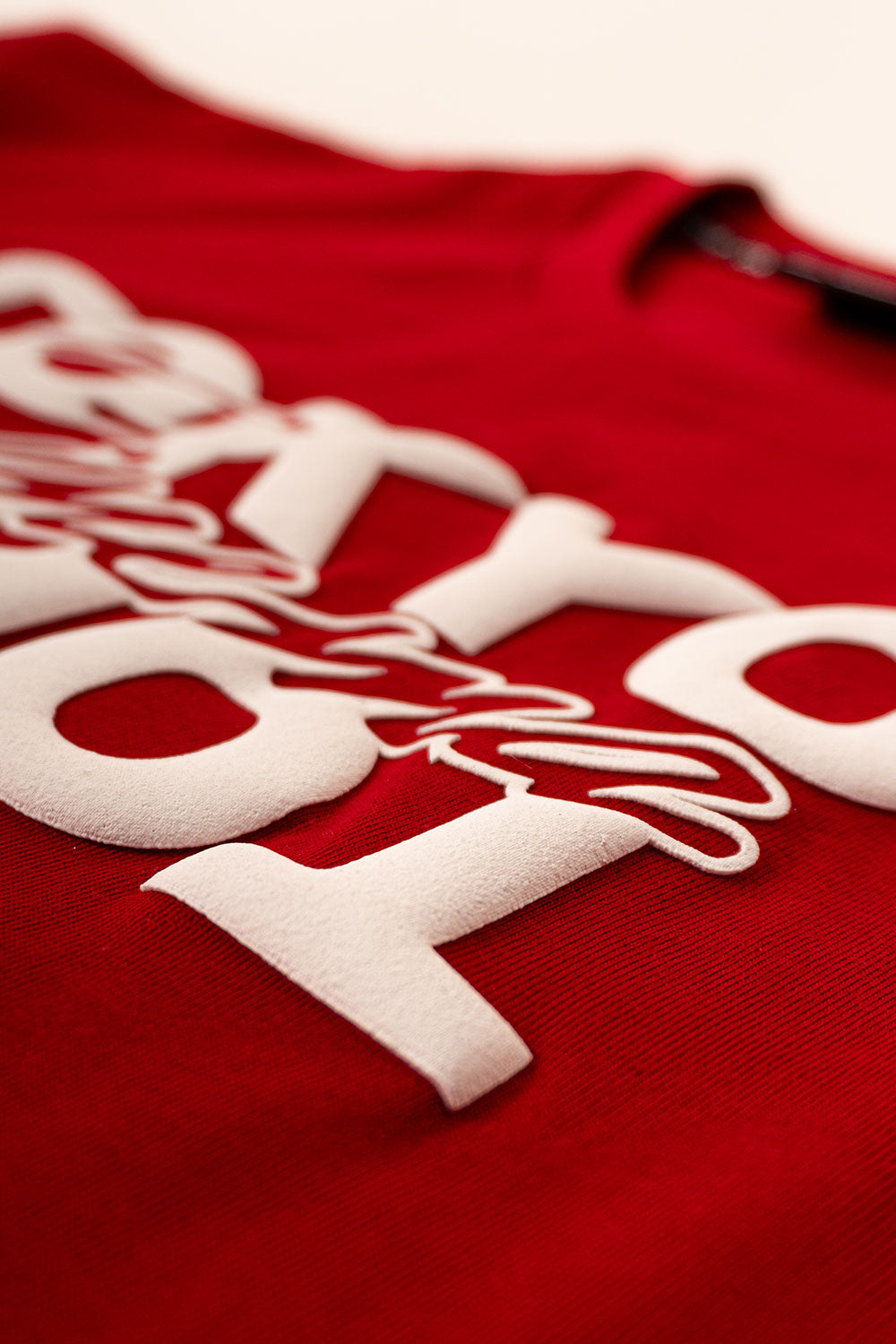 Camiseta OVER TOKYO KOI