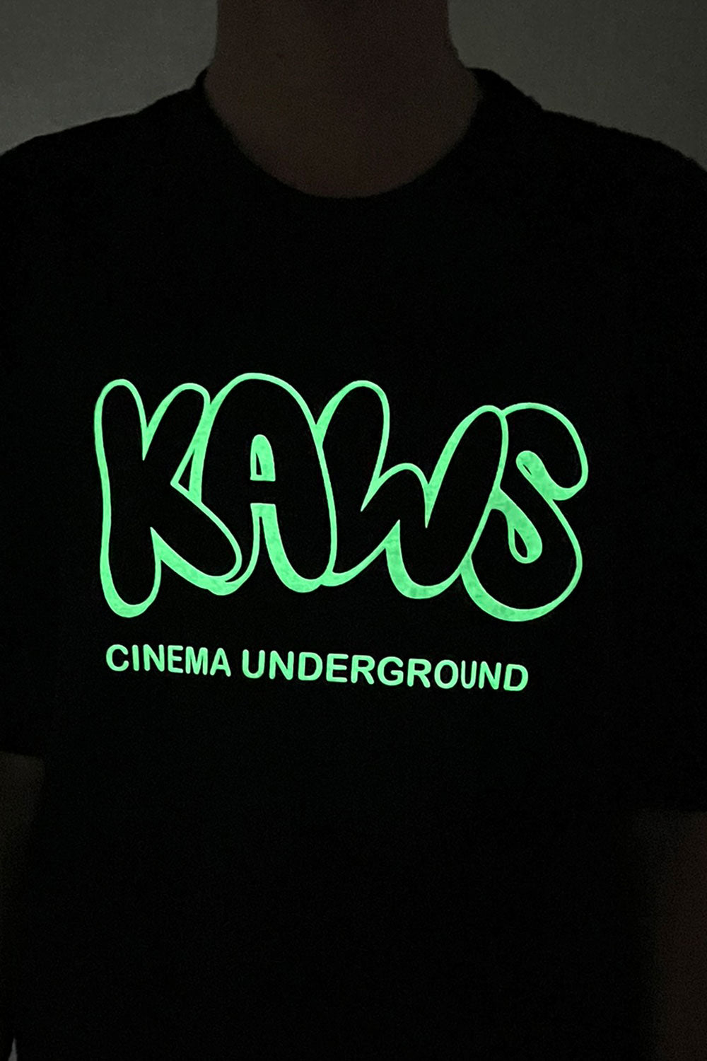 Camiseta KAWS KAWS