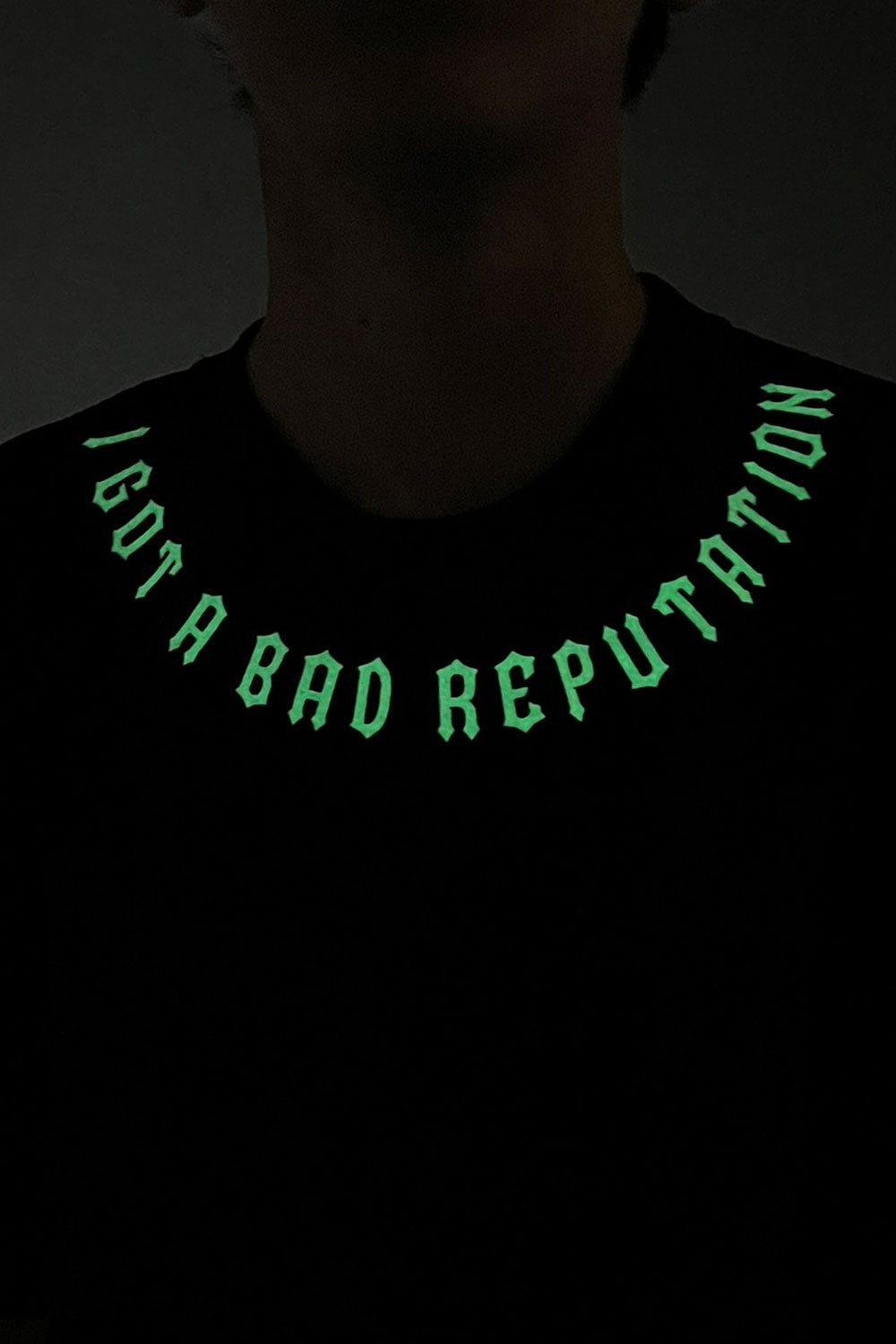 Camiseta IGABR