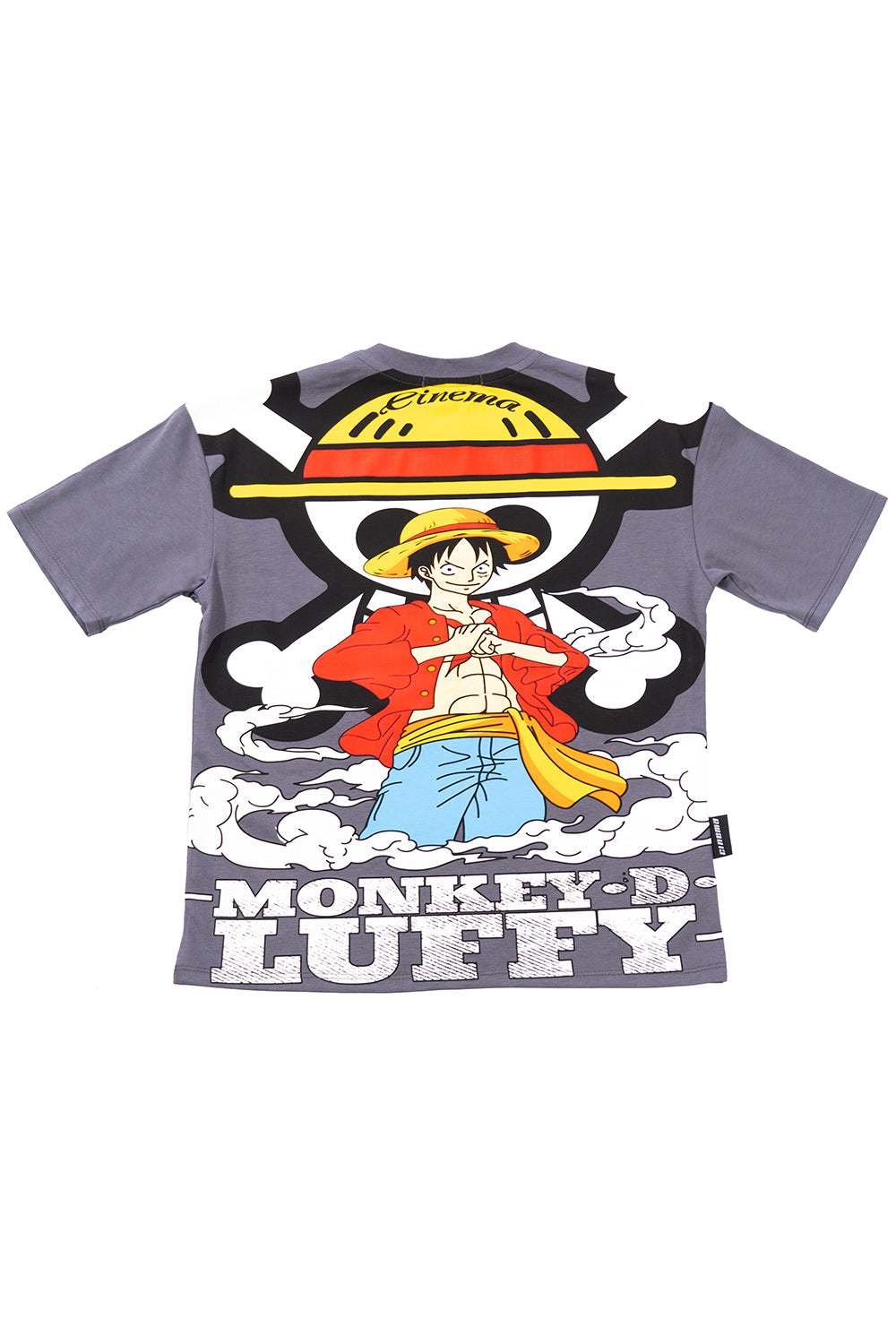 Camiseta PIRATE KING