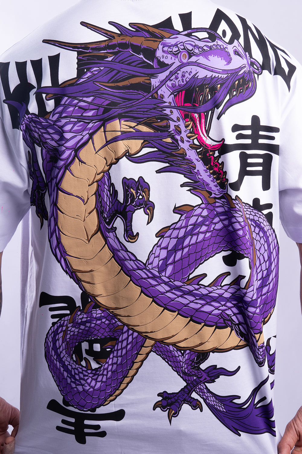 Camiseta HUANGLONG