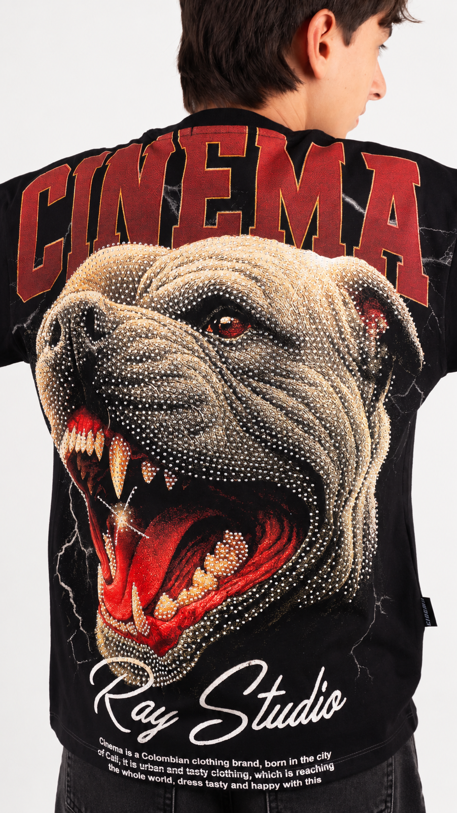 CAMISETA NIÑO - DOG